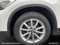 BMW X1 xDrive18d Advantage LED Navi Tempomat Shz Blanc - thumbnail 9