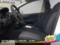 Fiat Punto Evo 5p 1.2 Dynamic GPL 69cv 5 POSTI Weiß - thumbnail 12