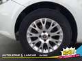 Fiat Punto Evo 5p 1.2 Dynamic GPL 69cv 5 POSTI Weiß - thumbnail 14