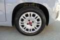 Fiat Panda 1.0 FireFly S&S Hybrid Grigio - thumbnail 4