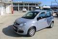 Fiat Panda 1.0 FireFly S&S Hybrid Grigio - thumbnail 1
