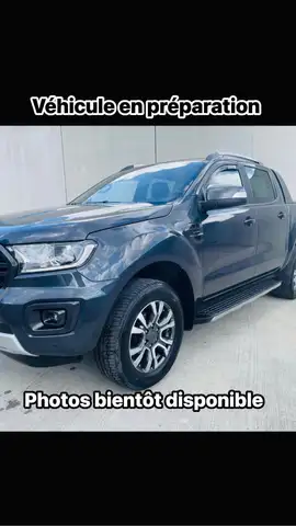 Ford Ranger 2.0 BiT EcoBlue Wildtrak (EU6.2)