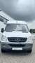 Mercedes-Benz Sprinter II HKa  316 CDI EURO5 Weiß - thumbnail 3