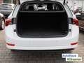 Skoda Octavia Combi 1.5TSI eTEC 110KWDSG HUD ASSIST DCC Blanc - thumbnail 13