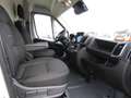 Fiat Ducato 35 L4H2 140 AT / Einzelsitze+10-Zoll-Navi Šedá - thumbnail 8