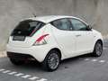 Lancia Ypsilon Ypsilon 1.2 EcoChic GPL Bianco - thumbnail 8