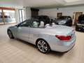 Mercedes-Benz E 250 CDI 204cv auto Cabrio Navi Cruise Pelle LED Argento - thumbnail 6