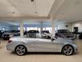 Mercedes-Benz E 250 CDI 204cv auto Cabrio Navi Cruise Pelle LED Argento - thumbnail 45