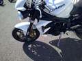 Triumph Street Triple 675 Blanc - thumbnail 8