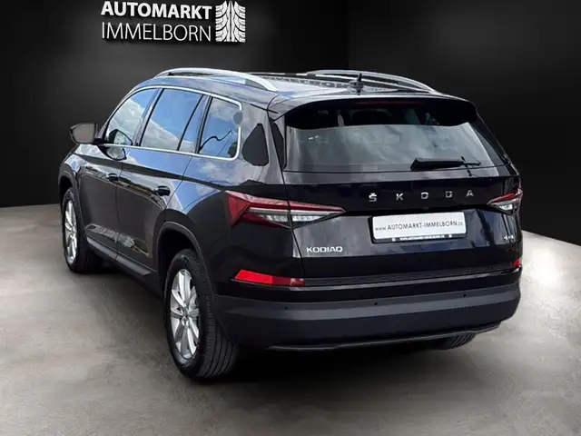 Skoda Kodiaq view 5