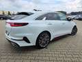Kia ProCeed / pro_cee'd ProCeed GT*JBL*Kamera*ACC*Led*E-Klappe*Voll* Weiß - thumbnail 3