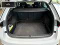Skoda Octavia Combi RS 4x4 TDI Navi ACC AHK Matrix App Wit - thumbnail 18