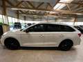 Skoda Octavia Combi RS 4x4 TDI Navi ACC AHK Matrix App Wit - thumbnail 24