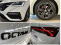 Skoda Octavia Combi RS 4x4 TDI Navi ACC AHK Matrix App Wit - thumbnail 19