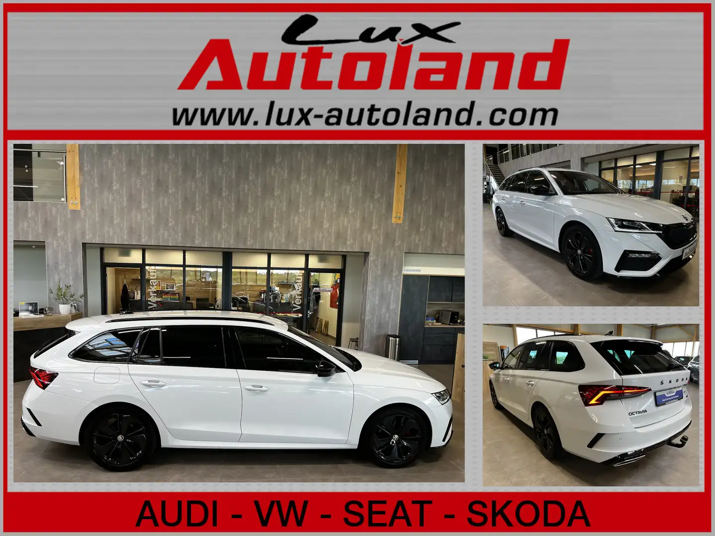 Skoda Octavia Combi RS 4x4 TDI Navi ACC AHK Matrix App Bianco - 1