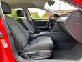 Volkswagen Passat Variant Business 2,0  TDI DSG | NP: € 52.900 Rot - thumbnail 34