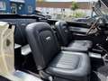 Ford Falcon Sprint V8 Convertible 289 Hi-perf Weiß - thumbnail 14