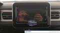 Suzuki Ignis 1.2h Top 2wd Gris - thumbnail 14