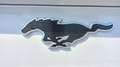 Ford Mustang Mach-E AWD Standard Range mit Techn.Paket Wit - thumbnail 7