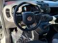 Fiat Panda 1.0 firefly hybrid City Life **SUPER PROMO** Bianco - thumbnail 10
