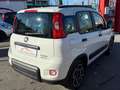 Fiat Panda 1.0 firefly hybrid City Life **SUPER PROMO** Bianco - thumbnail 5
