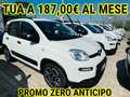 Fiat Panda 1.0 firefly hybrid City Life **SUPER PROMO** Bianco - thumbnail 1