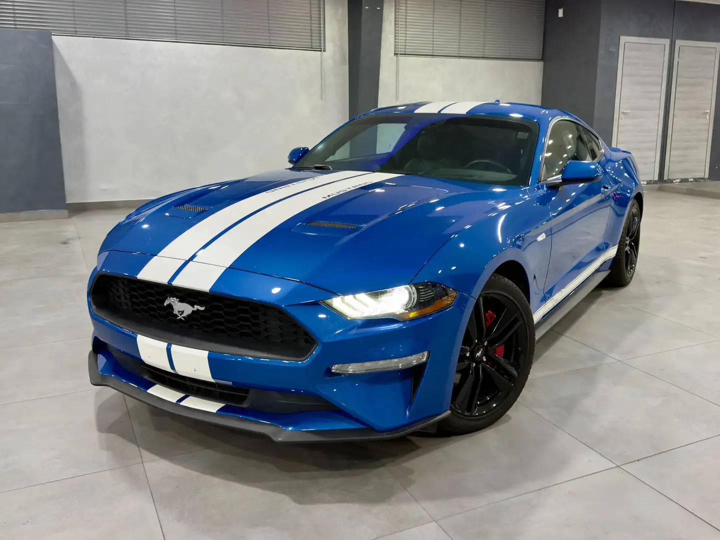 Ford Mustang 2.3 EcoBoost Blau - 2