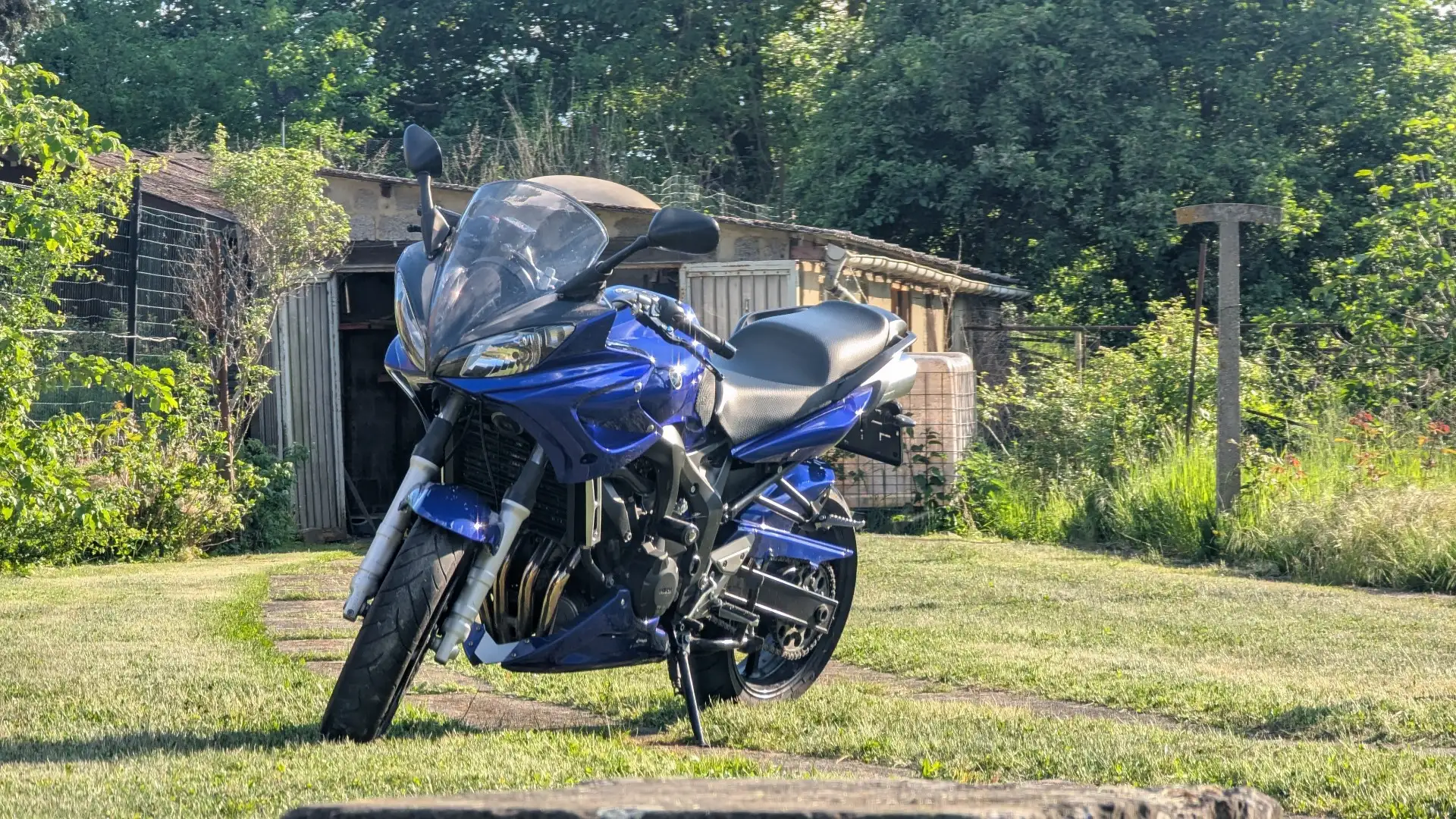 Yamaha FZ 6 Albastru - 1