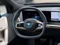 BMW iX xDrive40 Sportpaket 21" Autobahnassistent Skyloung Blau - thumbnail 13