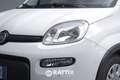 Fiat Panda 1.0 Firefly Hybrid 70CV Weiß - thumbnail 3