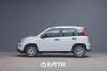 Fiat Panda 1.0 Firefly Hybrid 70CV Weiß - thumbnail 2