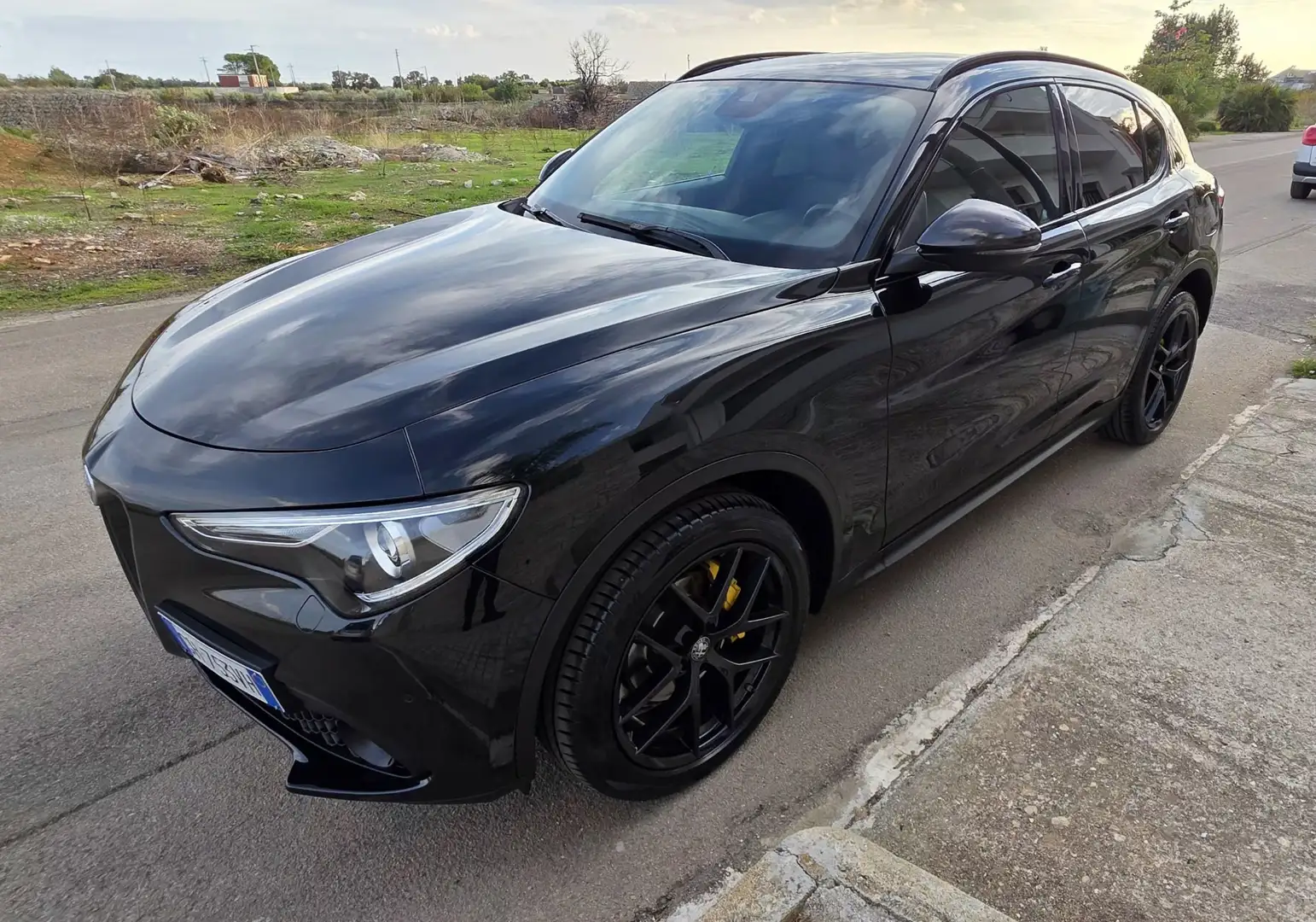 Alfa Romeo Stelvio 2.2 t B-Tech Q4 190cv auto - 1