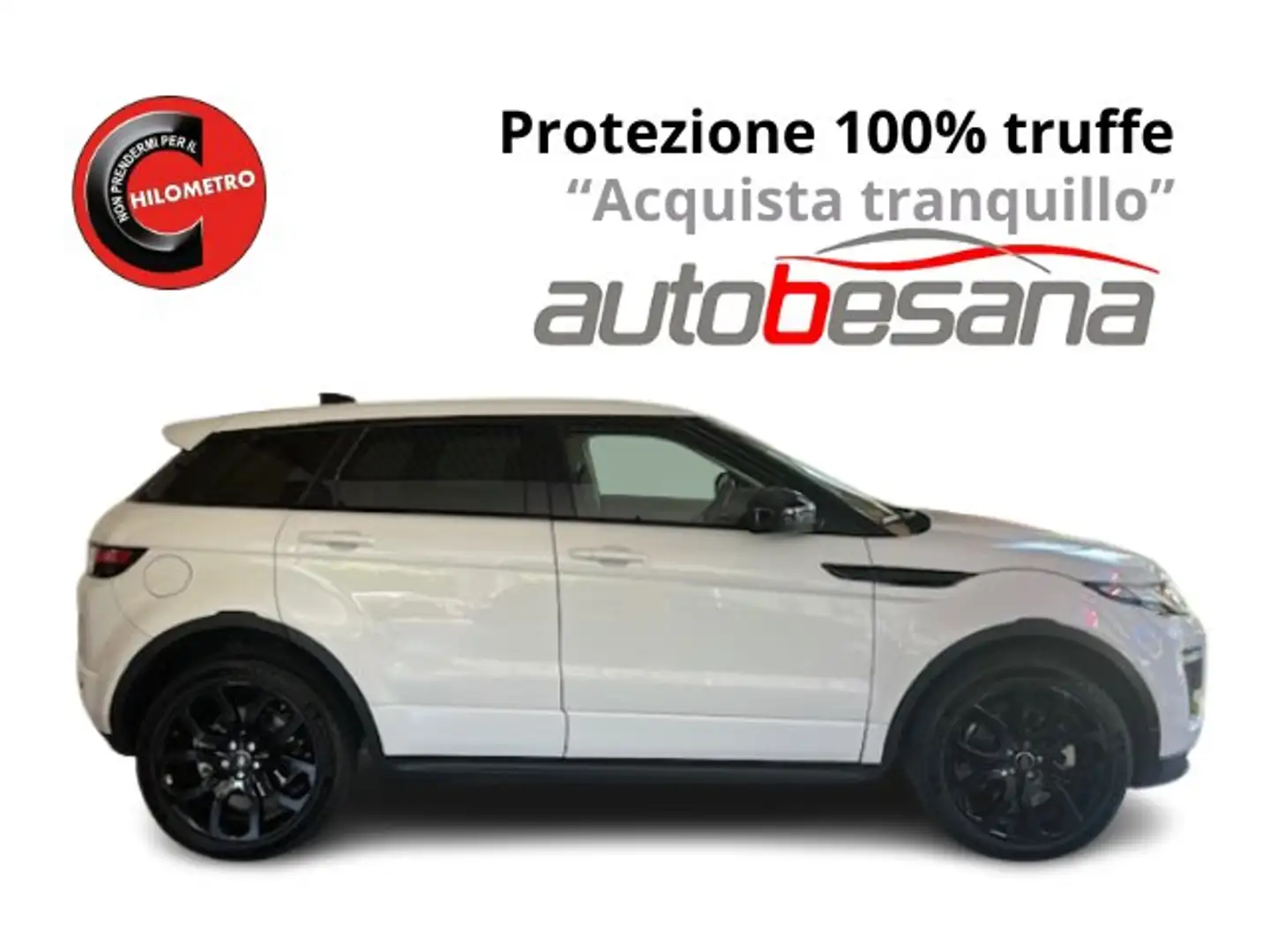Land Rover Range Rover Evoque 5p 2.0 td4 150cv Bianco - 1