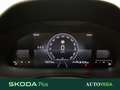 Skoda Kamiq 1.0 tsi selection 95cv Gris - thumbnail 14