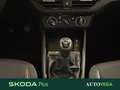 Skoda Kamiq 1.0 tsi selection 95cv Gris - thumbnail 11
