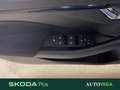 Skoda Kamiq 1.0 tsi selection 95cv Gris - thumbnail 17