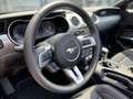 Ford Mustang V8 GT Cabrio Automatik Grau - thumbnail 11