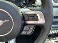 Ford Mustang V8 GT Cabrio Automatik Grau - thumbnail 19