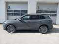 Volkswagen Tiguan 2.0 TSI 150 kW 4Motion Friends DSG Grau - thumbnail 2