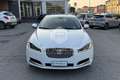 Jaguar XF XF 2.2 D Eco Білий - thumbnail 2