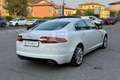 Jaguar XF XF 2.2 D Eco Білий - thumbnail 5