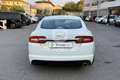 Jaguar XF XF 2.2 D Eco Білий - thumbnail 6