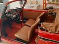 Autobianchi Bianchina Cabrio Cabriolet Red - thumbnail 2