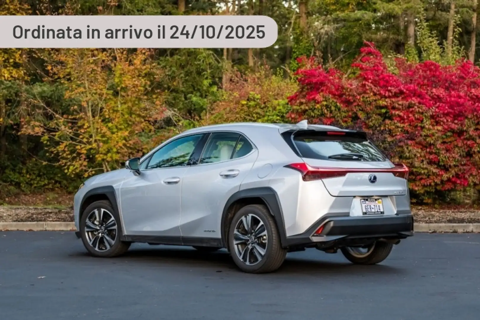 Lexus UX 300h 300h F-Design Plateado - 2