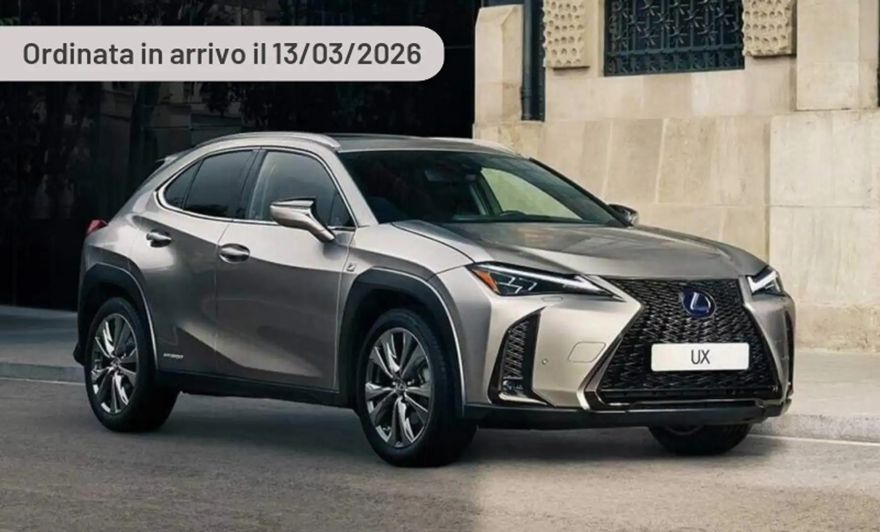Lexus UX 300h 300h F-Design Argento - 1