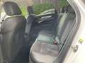 Audi A6 40 2.0 tdi mhev Quattro Doppio S Line s-tronic Bianco - thumbnail 13