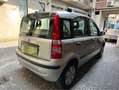 Fiat Panda 1.2 Dynamic eco (USB) * OK NEOPATENTATI * Gris - thumbnail 5