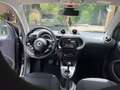 smart forTwo Fortwo  2018 1.0 Youngster 71cv twinamic my18 Білий - thumbnail 6