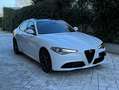 Alfa Romeo Giulia Giulia 2.0 T 200cv (320cv) Bianco - thumbnail 3