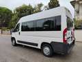 Fiat Ducato 33 2.2 MJT TRASPORTO DISABILI CON PEDANA +IVA Weiß - thumbnail 5